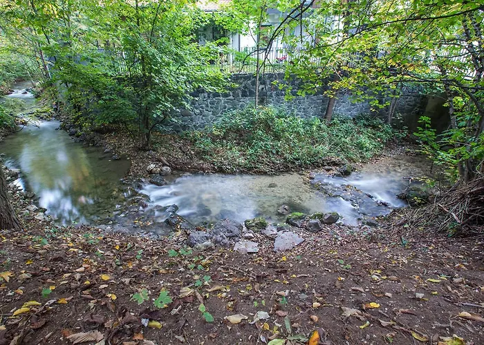 Pr 클라우디지 게스트하우스