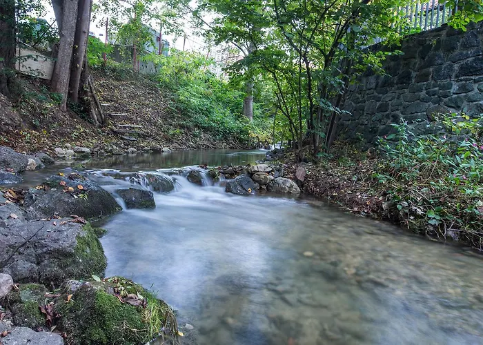 Pr 클라우디지 게스트하우스